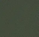 Fir