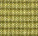Fizz