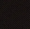 Ebony