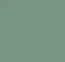 Wintergreen