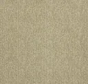 Jute
