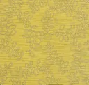 Maize