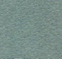 Shoal