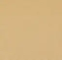 Sandstone