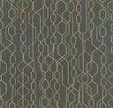 Eucalyptus