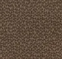 Cocoa
