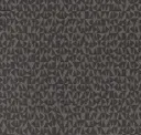 Steel