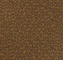 Tiger Eye