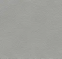 Nickel