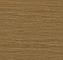 Pecan