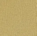 Cane