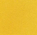Daffodil