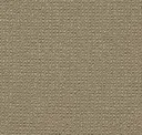 Jute