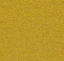 13 Marigold