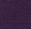 45 Indian Plum