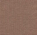 23 Cordoba Brown
