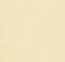 81 Vanilla Bean