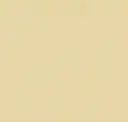 15 Cornsilk