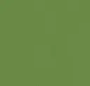 74 Ginkgo