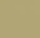 79 Khaki