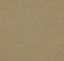 Dove
