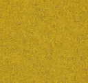 Alert