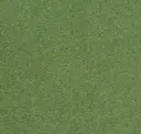 Lawn