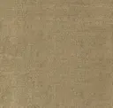 Tortoise