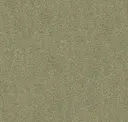 Celadon
