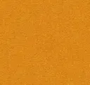 Creamsicle