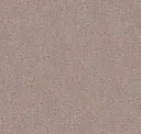 Pebble
