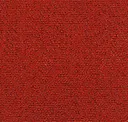 28 Scarlet