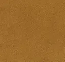 Cinnamon