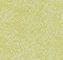 Fizzy Lime