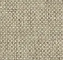 Foxtail