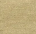 Kestrel