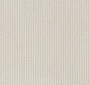 Winter White