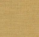 Sahara