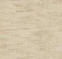 Pumice