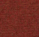 Red Maple