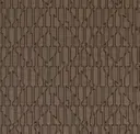 Shitake