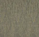 Eucalyptus