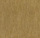 Gold Coin