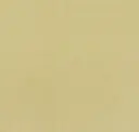 Leek