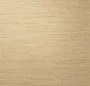 Tan Tempo