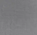 Winter Gray