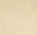 Parchment