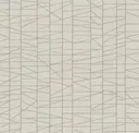 Lattice
