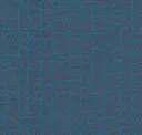 Volute
