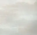 Mist